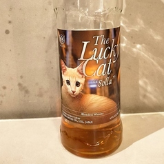 ラッキーキャット・ソラ