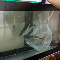 海鮮酒場 虹里の雰囲気1