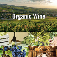オーガニックワイン