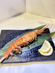 有頭赤海老/はまぐり/焼き牡蠣/ホタテバター