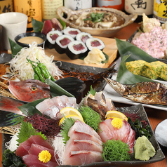 炉ばた 七福 藤沢店特集写真1