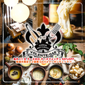 VOLENTE 048 ヴォランティ ゼロヨンハチの詳細