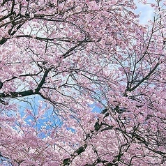 KNEADERS ニーダーズのコース写真