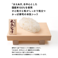 ひと粒ひと粒がしっかりと粒立つかっぱ寿司の本気シャリ