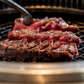 焼肉ふるさと 福山店のおすすめ料理2