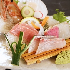 お造り五種盛合せ（一名盛り）