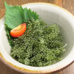 黒将TOKYOの特集写真