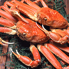 たらばガニ(大盛)