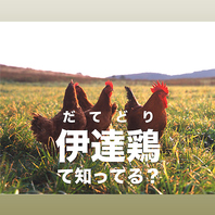福島県産の「伊達鶏」