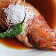 籠家 すすきの 南三条店特集写真1