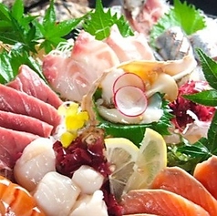 北海道まるごとダイニング うまいっしょ! 千歳店特集写真1