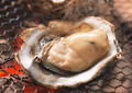 料理メニュー写真 【2位！】北海道厚岸漁協直送厳選 蒸し牡蠣(1枚)