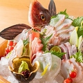 全席扉付き個室　旨いマグロと信玄どり　海鮮居酒屋　うお城　川崎駅前店のおすすめ料理1