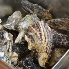 蒸し牡蠣1缶