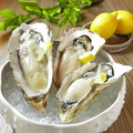 料理メニュー写真&nbsp;生牡蠣の気まぐれ盛り合わせ(3点盛り・6点盛り・9点盛り・12点盛り)