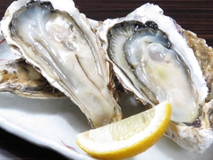 魚勢の特集写真