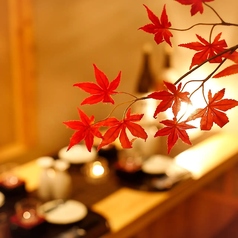 こだわりの店内は、扉付き個室を多数完備！落ち着きある大人の隠れ家空間をご提供致します。各種宴会にオススメの飲み放題付コースは4400円(税込)～ご用意！お手頃価格でご案内いたしますので、肩を張らずご来店ください。デートや接待でのご利用、団体様での歓送迎会、同窓会にもおすすめです。