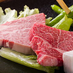 松阪牛 極上ヒレ肉