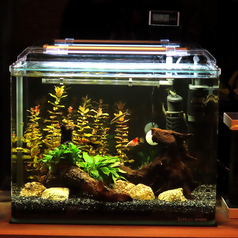 CHIKA TRAIN 地下トレインの雰囲気3