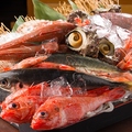 料理メニュー写真 その他、本日入荷の鮮魚は別紙のおすすめメニューをご覧ください。