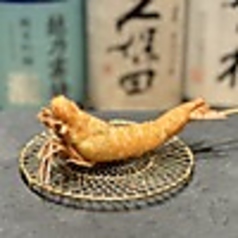 天使のエビ