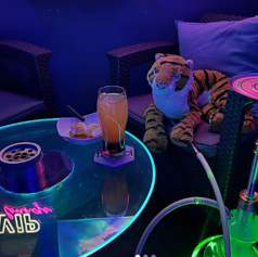 シーシャ Khepri ケプリの特集写真