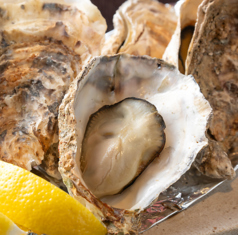 瀬戸内の肴 AVLI アヴリのおすすめポイント1