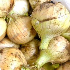 こだわりが強すぎる農家さんの激ウマ野菜！！