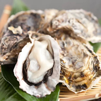 歴史が育む！栄養満点・水揚げ量No.1の三年牡蠣