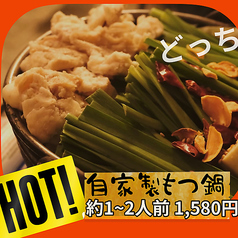 特製もつ鍋　1～2人前