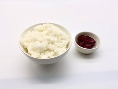 ライス/Rice