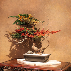 鮨 結の特集写真