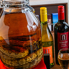 ハブ酒で乾杯♪