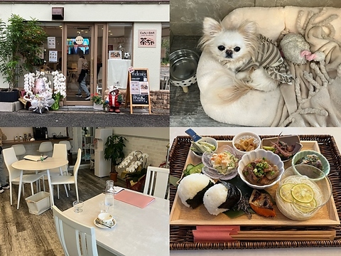 長居スタジアムの目の前！ワンちゃんと一緒に来れるカフェです♪