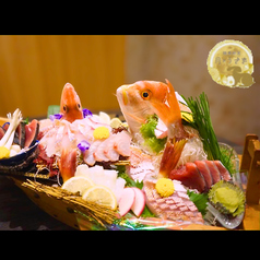月のうさぎ 静岡の特集写真