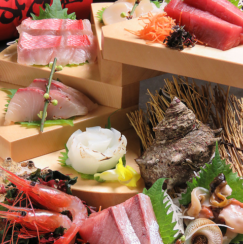 Sei ₫ʂX S Yă_CjO