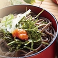 料理メニュー写真&nbsp;出雲名物　割子そば(3段)