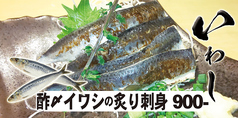 天然イワシの酢〆炙り刺身【鮮魚鰯】