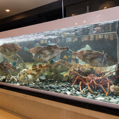 魚楽唐唐の写真2