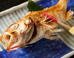 季節の逸品はコースがお勧め