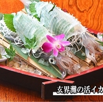 活きイカ　活造り　お造り　地魚　活魚　いけす料理　