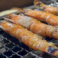 鮮度抜群の魚介を楽しむ！