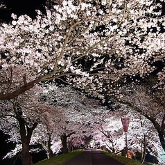 出雲馳走縁 しゃぶしゃぶ暖簾のおすすめ料理1