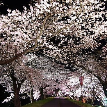 出雲馳走縁 しゃぶしゃぶ暖簾のおすすめ料理1