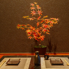 鹿児島薩摩うなぎ銀しろ 天文館店の特集写真