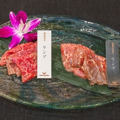 ランプ食べ比べ