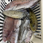 釣り好きオーナーが釣ってきた魚が食べれられるかも！時期ごとのおすすめをお楽しみいただけます！