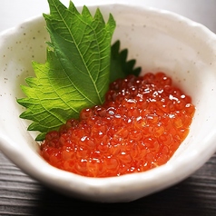 いくら醤油漬け