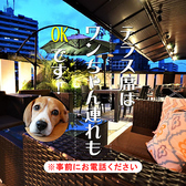 欲ばりイタリアン ボンジョル豚 多治見店の雰囲気3