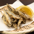 料理メニュー写真&nbsp;キビナゴの唐揚げ